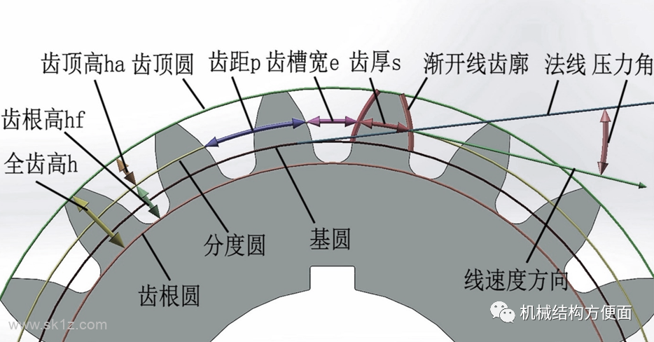渐开线圆柱齿轮概念与参数计算